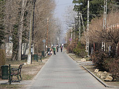 Well developed promenade - Dunakeszi, 匈牙利