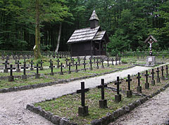  - Lake Bohinj (Bohinjsko jezero), 斯洛文尼亚