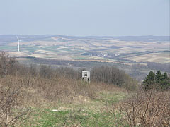 The "Galamb-berek" (literally "Pigeon Grove") viewed from "Csőszpuszta" meadow - Bakony Mountains, Maďarsko