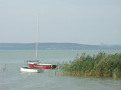 Small moored sailboat and a boat at the reeds - Balatonlelle, Maďarsko