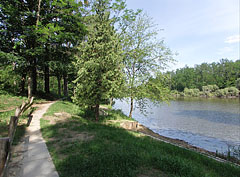 The "Homokpart" (literally "Sandy Shore") fishing pond in Babatvölgy is an artificial lake on the Aranyos Stream - Gödöllő Hills (Gödöllői-dombság), Maďarsko