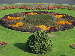 Flower carpet in the middle of the roundabout in the Clark Ádám Square - Budapeşte, Macaristan