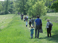 The people who arrives to the May Day event on foot through the field - Gödöllő, Macaristan