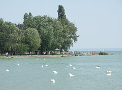 Detail of the Szigeti Beach ("Szigeti strand") - Révfülöp, Macaristan