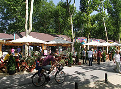 Line of restaurants on the promenade, in the shadow of tall trees - Siófok, Macaristan