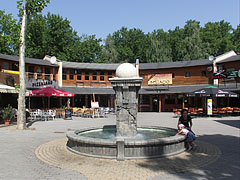 Small circular square with restaurants and brasseries around and a fountain in the middle - Siófok, Macaristan