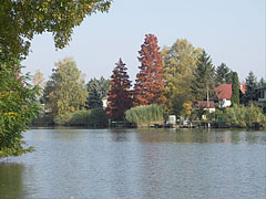 Szarvasi-Holt-Körös backwater, the dead channel of the Körös River (therefore practically it is a lake) - Szarvas, Macaristan