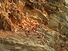 Rocks at the Istállóskő Cave - Szilvásvárad, Macaristan