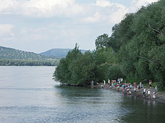 Children browsing the shore of River Danube at Visegrád - Visegrád, Macaristan