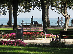 Picturesque park in Balatonfüred, on the lakeside of Balaton - Balatonfüred, Ungaria