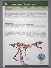 The information board of the Herrerasaurus ischigualastensis - Budapesta, Ungaria