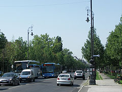 Row of trees on the Andrássy Avenue, viewed from the Heroes' Square - Budapesta, Ungaria