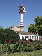 Rose bushes in the square, and the TV tower of Cegléd - Cegléd, Ungaria