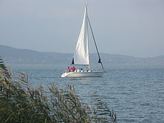 Sailboat on the Balaton - Fonyód, Ungaria