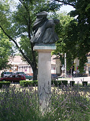 Bronze memorial of the victims of the World War II and the Hungarian Revolution of 1956 on a white stone pedestal - Nagykőrös, Ungaria