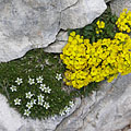 Triglav National Park, Slovenia