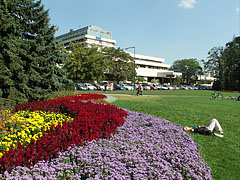 The Great Meadow ("Nagyrét") on the Margaret Island, a grassy and flowery area on the north side of the island, surrounded by large trees and hotels - Budapeste, Hungria