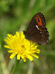  - Triglav National Park, Eslovénia