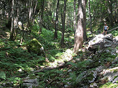  - Triglav National Park, Eslovénia