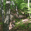 Börzsöny Mountains, Ungheria