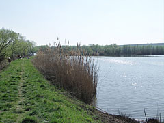 The Sinkár Lake close to Csővár village - Csővár, Ungheria