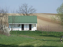 House on the lakeshore and plough fields behind it - Csővár, Ungheria