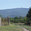 Gyöngyös, Ungheria