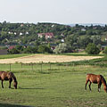 Mogyoród, Ungheria