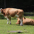 Parco Nazionale del Tricorno (Triglav), Slovenia