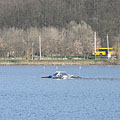 Bánk, Hongrie