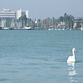 Balatonfüred, Madžarska