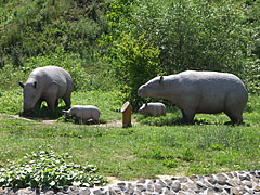 Lifelike hornless prehistoric rhinoceros (Brachypotherium) family, made of plastic - Ipolytarnóc, Madžarska