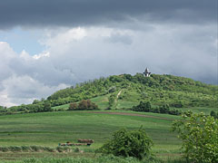 Before a spring shower - Mogyoród, Madžarska