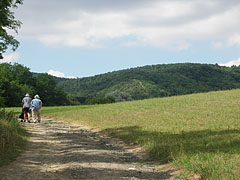  - Pilisszentiván, Madžarska