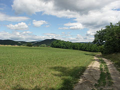  - Pilisszentiván, Madžarska