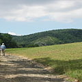 Pilisszentiván, Madžarska