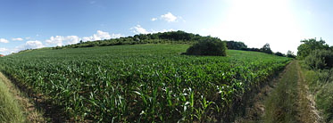 Somlyó Hill (Gyertyános) - Mogyoród, Węgry