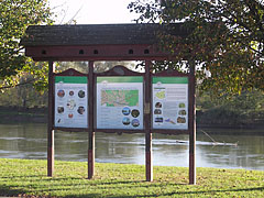 Information board on the riverbank, with the tour routes along the Dráva River in the Danube-Drava National Park - Barcs, Węgry