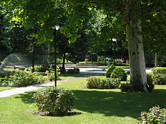 The park of the Honvéd Cultural Center, including ornamental bushes and plane trees - Budapeszt, Węgry