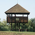 Kis-Balaton, Węgry