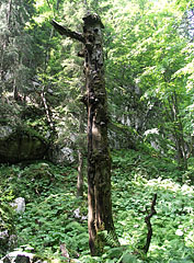 - Park Narodowy Triglav, Słowenia