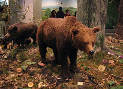 Forest genre scene with a mounted brown bear - Будапеща, Унгария