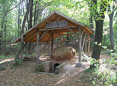 Glasshouse furnace ruins at Pusztabánya - Magyaregregy, Унгария