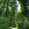 Pilis Mountains (Pilis hegység), Унгария