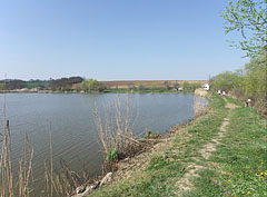 The embankment between the two part of the Sinkár Lake - Csővár, Hongarije