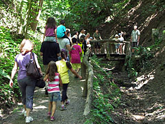 Walk in the forest along the Borókás Creek - Ipolytarnóc, Hongarije