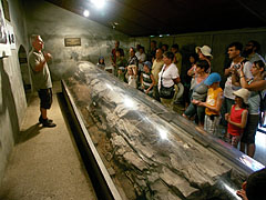 Petrified remains of a giant, originally 100 meters tall prehistoric tree (so called "Gyurtyánfa") - Ipolytarnóc, Hongarije