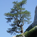 Triglav National Park, Slovenië