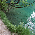 Plitvice Lakes National Park, Horvaatia