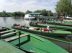  - Tiszafüred, Ungarn